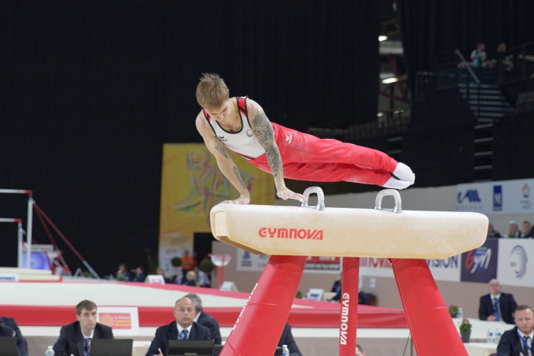 2015_European_Artistic_Gymnastics_Championships_-_Pommel_horse_-_Oleg_Stepko_11.jpg